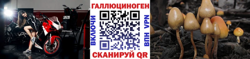 Галлюциногенные грибы мухоморы  Владивосток 