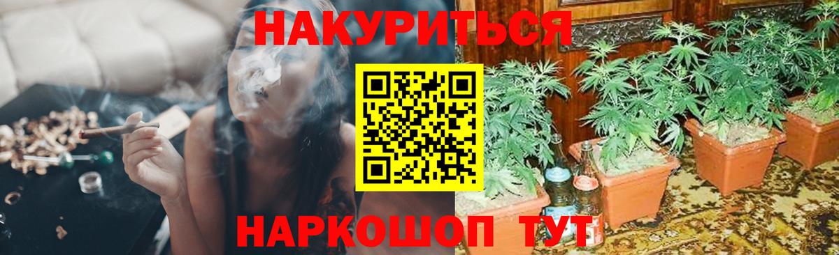 Бошки марихуана Ganja Владивосток